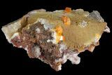 Tabular, Orange Wulfenite Crystals on Calcite - Los Lamentos, Mexico #139788-2